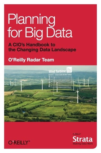 Planning for Big Data