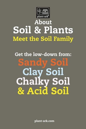 About Soil & Plants: Revised & Updated
