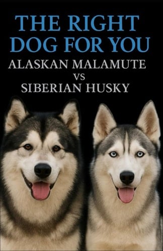 The Right Dog For You Alaskan Malamute Vs Siberian Husky