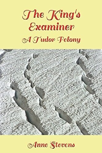 The King's Examiner A Tudor Felony