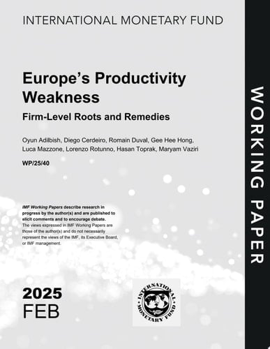 Europe’s Productivity Weakness Firm-Level Roots and Remedies