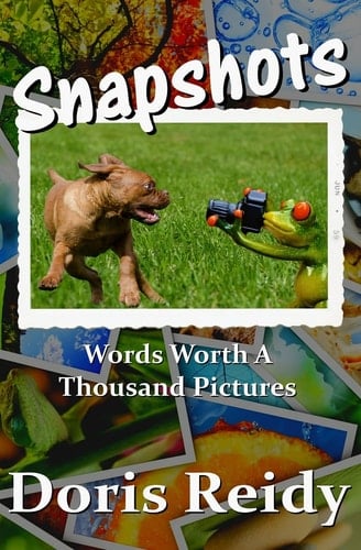 Snapshots Words Worth a Thousand Pictures