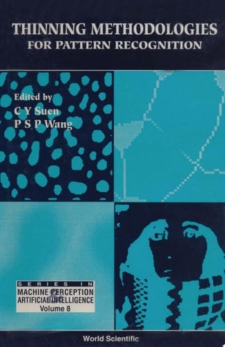 Thinning Methodologies For Pattern Recognition