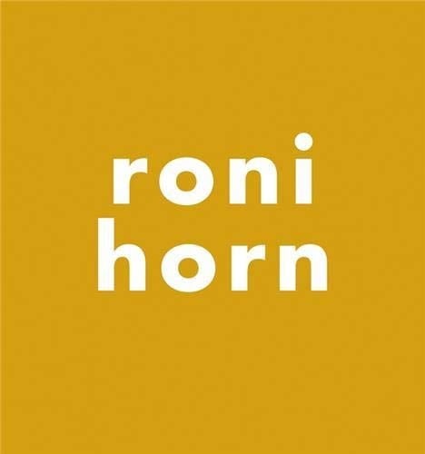 Roni Horn Everythin was Sleeping as If the Universe Were a Mistake