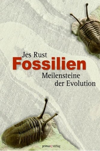 Fossilien Meilensteine der Evolution