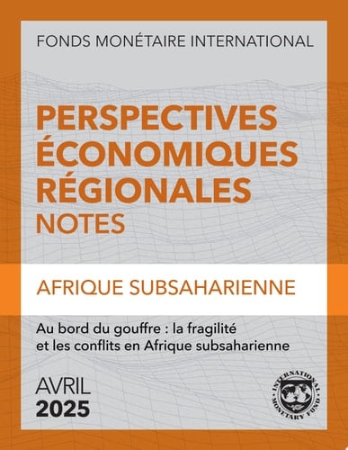 Au bord du gouffre la fragilité et les conflits en Afrique subsaharienne