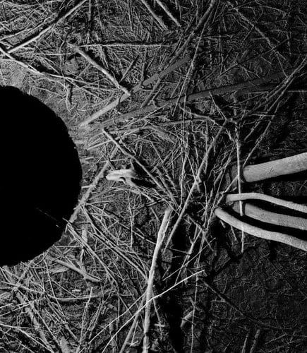 Félix Luque Sánchez. Machines & Fictions