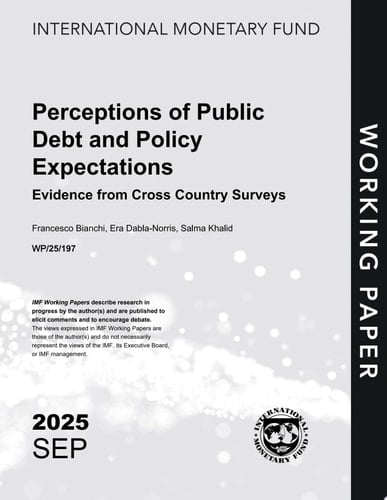 Perceptions of Public Debt and Policy Expectations Evidence from Cross Country Surveys