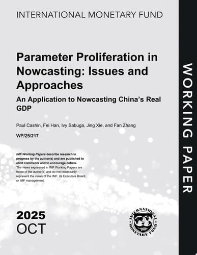 Parameter Proliferation in Nowcasting Issues and Approaches—An Application to Nowcasting China’s Real GDP