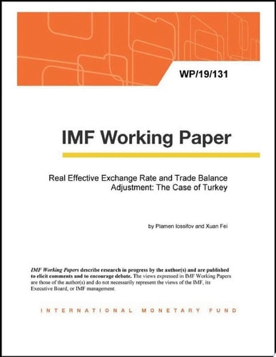 Real Effective Exchange Rate and Trade Balance Adjustment: The Case of Turkey