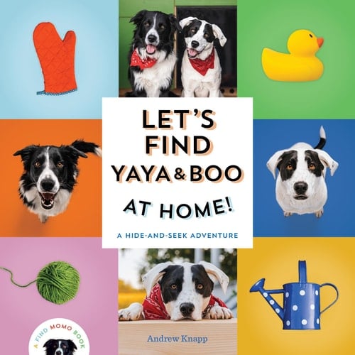 Let's Find Yaya and Boo at Home! A Hide-and-Seek Adventure