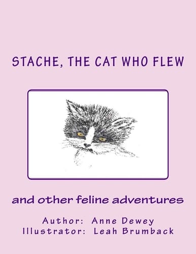 Stache, the Cat Who Flew And Other Feline Adventures