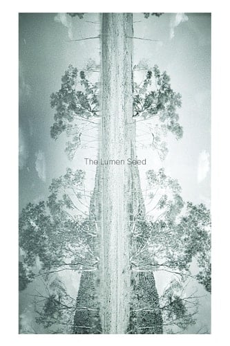 The Lumen Seed Records of a Search in the Australian Desert