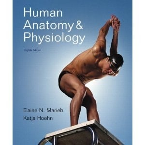 Human Anatomy & Physiology