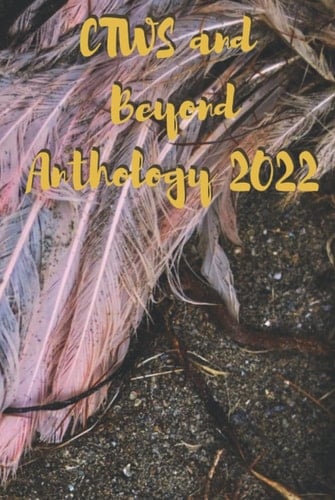 CTWS and Beyond Anthology (Central Texas Writer's Society Anthologies)