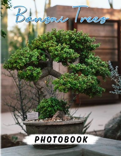 Bonsai Trees Photobook: Art Of Decoration By Nature Through 40 Great And Awesome Photos Inside | Gift For Adults And More To Be Relaxed And Calm