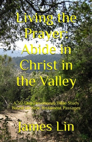 Living the Prayer: Abide in Christ in the Valley: A 30-Day Devotional/Bible Study Based on New Testament Passages (Walking the Talk Trilogy)