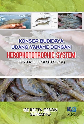 KONSEP BUDIDAYA UDANG VANAME DENGAN HEROPHOTOTROPHIC SYSTEM (SISTEM HEROFOTOTROF)