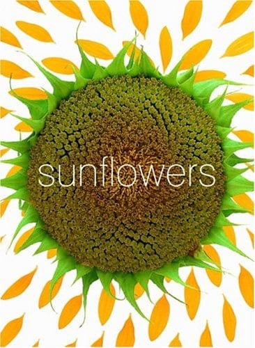 Sunflower Small Note Cards