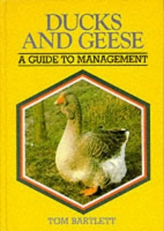 Ducks and Geese A Guide to Management