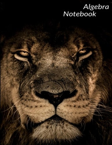 Notebook: Algebra Notebook (8.5 X11in), Wide Ruled, and 120 Sheets