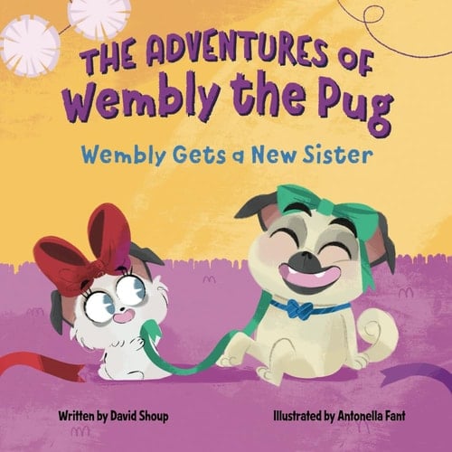 The Adventures of Wembly the Pug Wembly Gets a New Sister