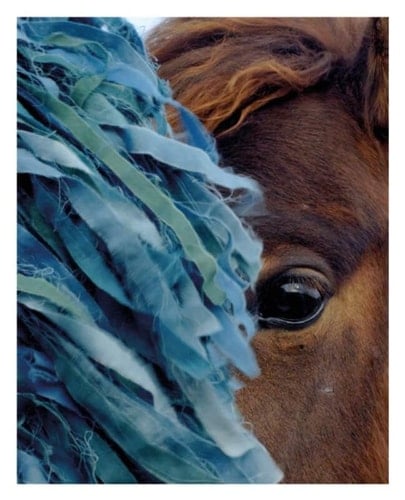 Charlotte Dumas - Ao