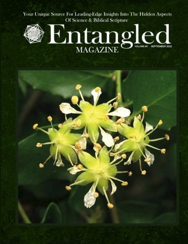 Entangled Magazine: Your Unique Source For Leading-Edge Insights Into The Hidden Aspects of Science and Biblical Scripture