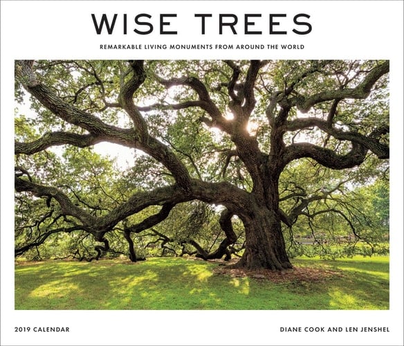 Wise Trees 2019 Wall Calendar Remarkable Living Monuments from Around the World
