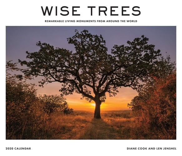 Wise Trees 2020 Wall Calendar: Remarkable Living Monuments from Around the World
