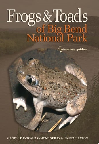 Frogs and Toads of Big Bend National Park