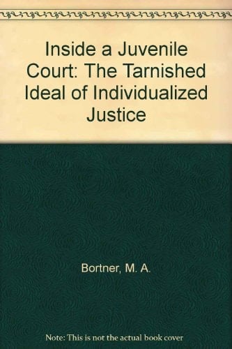 Inside a Juvenile Court The Tarnished Ideal of Individualized Justice