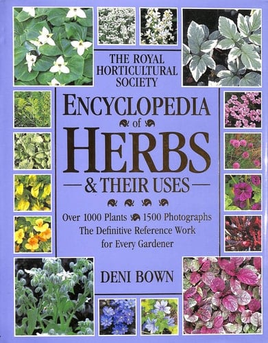 Encyclopedia of Herbs & Their Uses (RHS) (English and Spanish Edition)