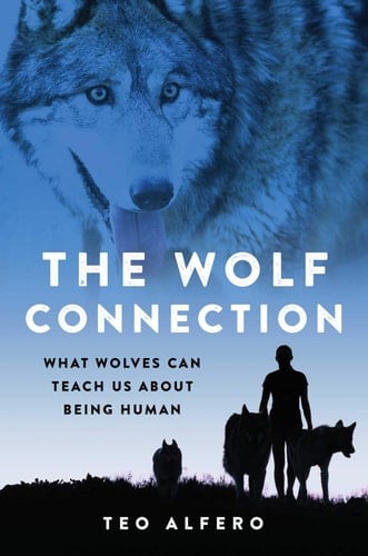 The Wolf Connection What Wolves Can Teach Us about Being Human