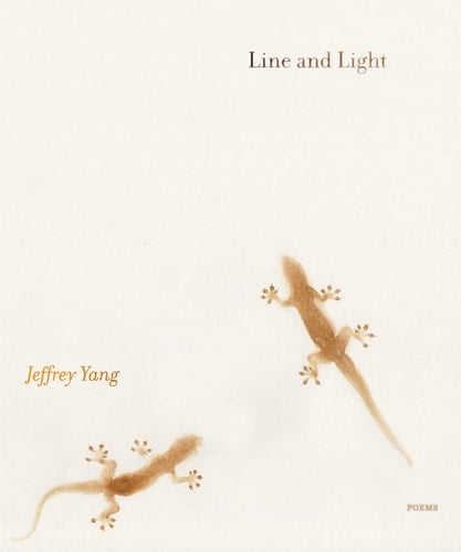 Line and Light Poems