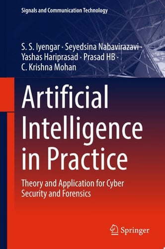 Artificial Intelligence in Practice
