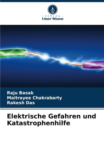 Elektrische Gefahren und Katastrophenhilfe (German Edition)