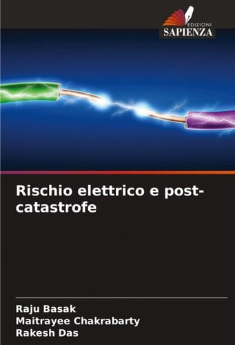 Rischio elettrico e post-catastrofe (Italian Edition)
