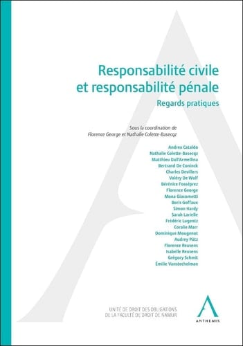 Responsabilité civile et responsabilité pénale regards pratiques