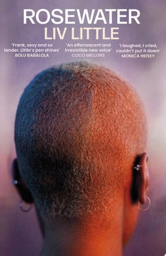 Rosewater the debut novel from Liv Little
