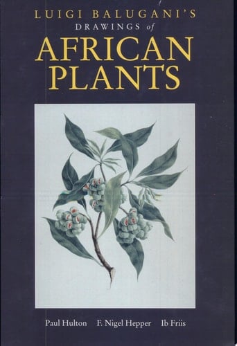 Luigi Balugani's Drawings of African Plants