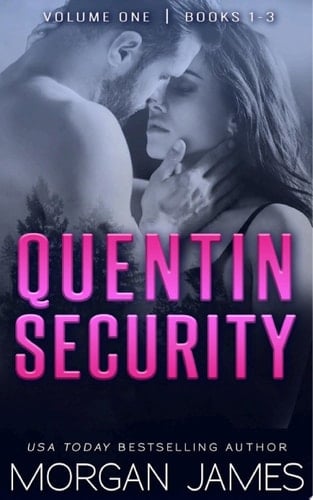 Quentin Security Series Box Set 1 (Quentin Security Bodyguard Romance #8)
