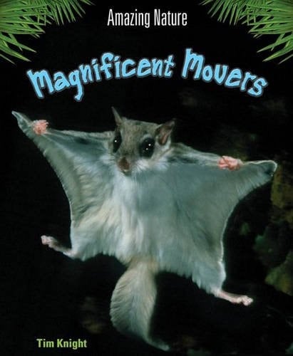 Magnificent Movers