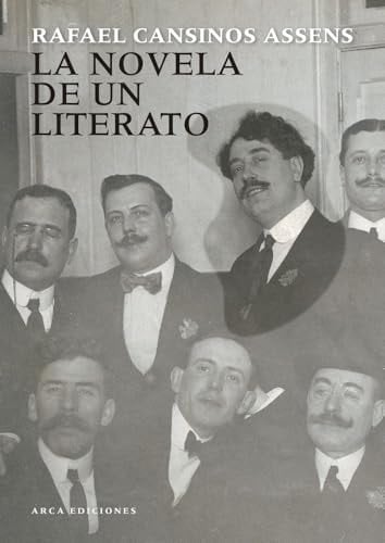 La novela de un literato