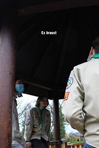 Es braust (German Edition)