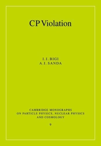 CP Violation