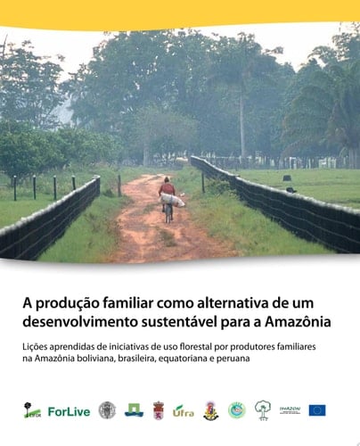 A produção familiar como alternativa de um desenvolvimento sustentável para a Amazônia : lições aprendidas de iniciativas de uso florestal por produtores familiares na Amazônia boliviana, brasileira, equatoriana e peruana