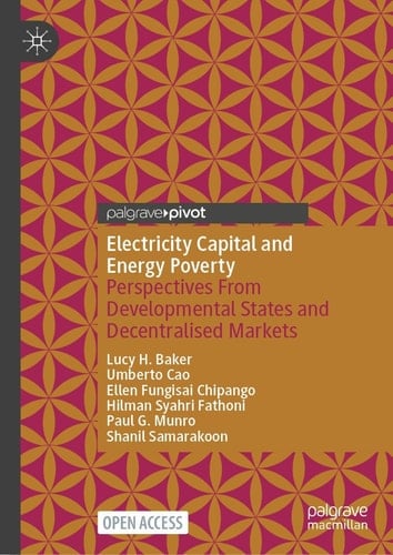 Electricity Capital and Energy Poverty - Perspectives From Developmental States and Decentralised Markets