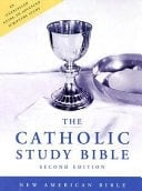The Catholic Study Bible (blue indexed 4311)