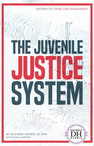 Juvenile Justice System